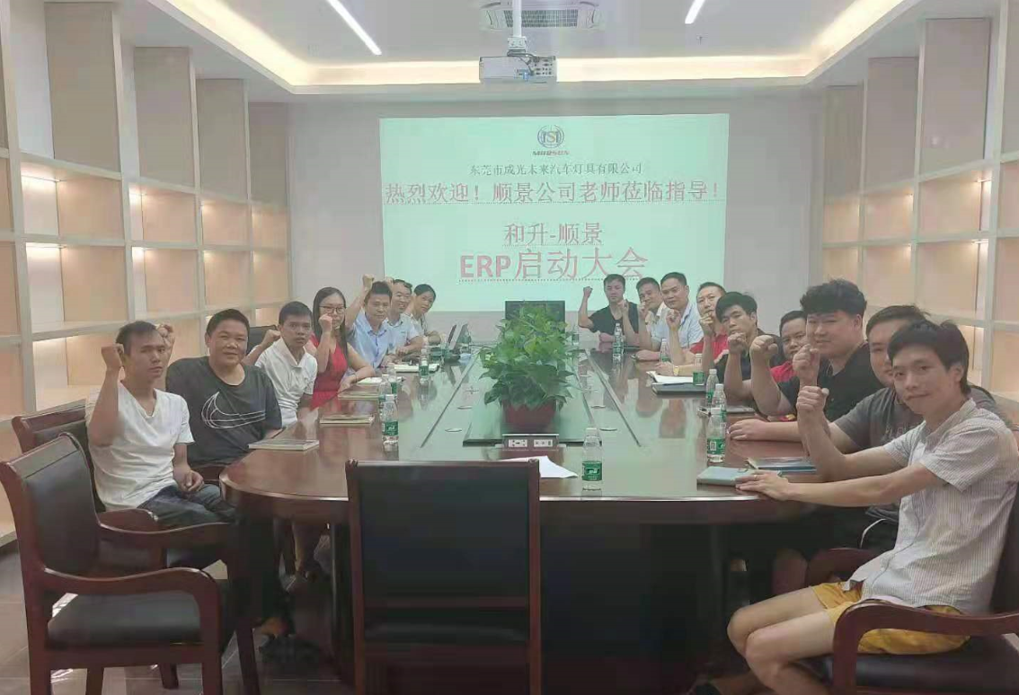 承前启后，智造先行!和升汽车照明公司携手leyucom乐鱼（中国）一站式体育服务-官网软件打造数智管理